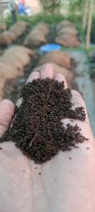 vermicompost