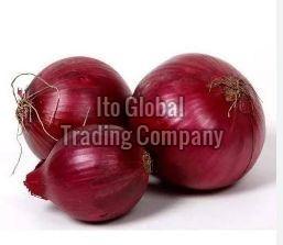 A Grade Iran Red Onion