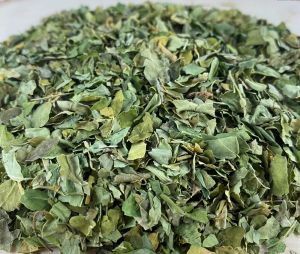 Dry Moringa Leaves