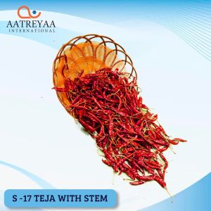 S-17 Teja with Stem Red Chilli