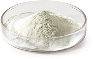 Casein Protein Hydrolysate Powder