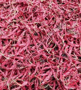 5531 Syngenta Byadgi Dry Red Chilli