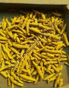 Odisha Turmeric Finger