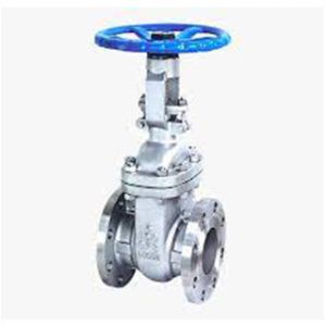 Gate Valve Flange End