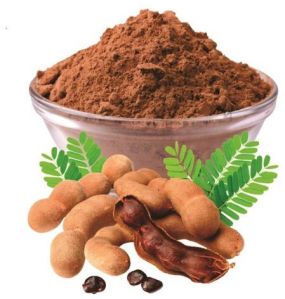 Spray Dried Tamarind Powder