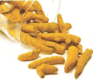 turmeric