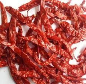 Wrinkled Red chilli