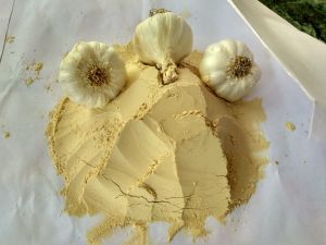 garlic powder