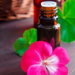 Flowers Geranium Oil, Packaging Type : Plastic Bottles