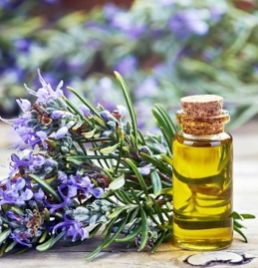 Rosemary Oil