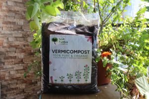 Vermicompost Fertilizer