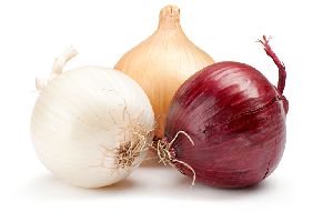 fresh onion