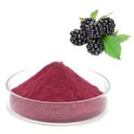 Spray Dried Mulberry Powder