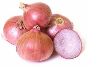 Fresh Pink Onion, Packaging Size : 50 Kg