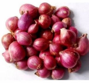 Natural Fresh Small Shallot Onion For Human Consumption