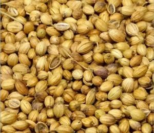 Whole Dry Coriander Seeds