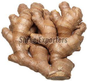 fresh ginger