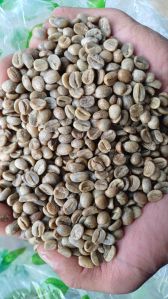 AA green coffee beans