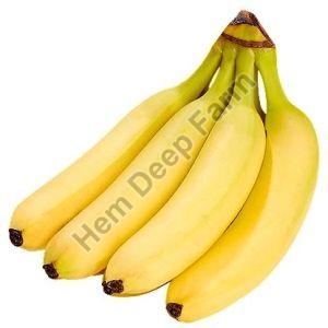 yellow banana