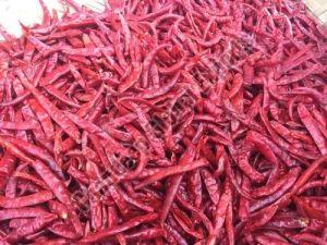 Dired Guntur Red Chilli For Cooking