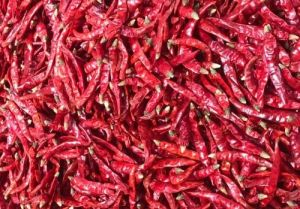 Dried Red Chillies