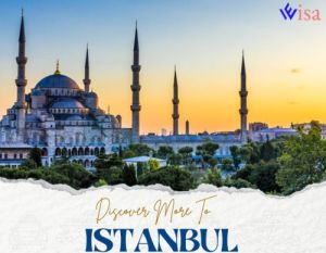 istanbul visa service