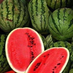 Fresh Sweet Watermelon