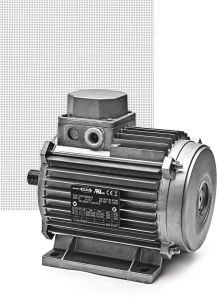 carpanelli electric motors