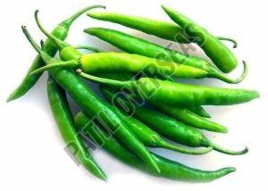 fresh green chilli