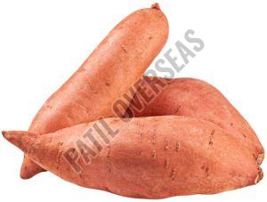 Sweet Potato