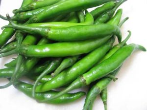 Organic Green Chilli