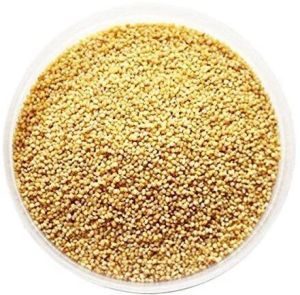 Foxtail Millet Seeds