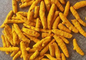 Turmeric Finger, Packaging Size : 500 Gm