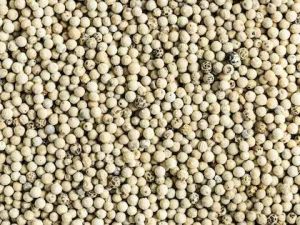 White Pepper Powder