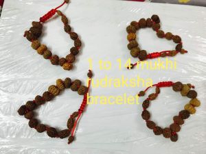 1 to 14 mukhi rudraksha bracelet