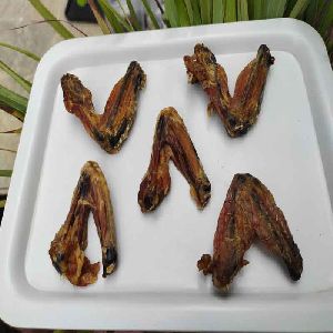 Petritive Chicken Wings