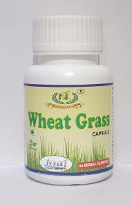Wheat grass Capsules