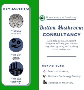 Button Mushroom Consultancy Services