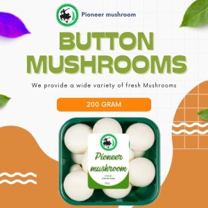 Fresh Button Mushroom