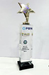 Acrylic Award