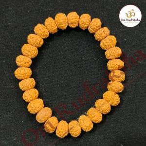 5 Mukhi Pathri Rudraksha Bracelet