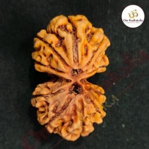 Gauri Shankar Rudraksha Beads