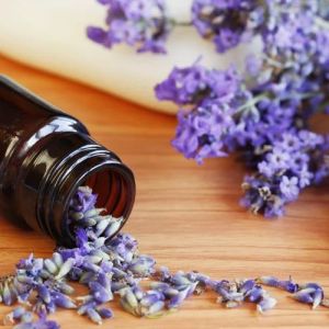 Lavender Oil Bulgarian