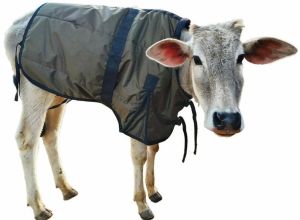 Calf Coat Blanket