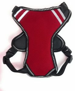 Dog Double Harness