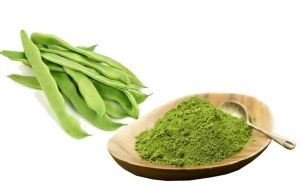 Dehydrated Green Beans Powder