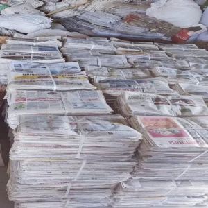 Fresh Newspaper Scraps English