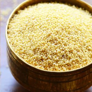 foxtail millet