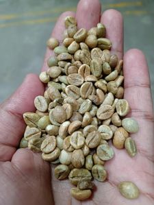 Arabica Coffee Beans