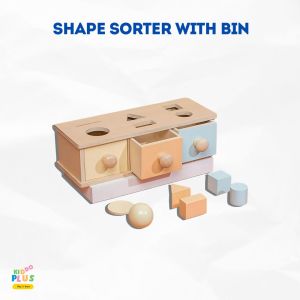 Shape Sorter With Bin